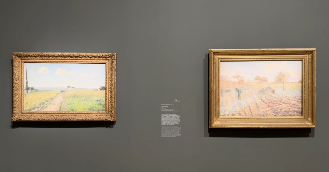​中法两位第一夫人，为什么去看这场展？ 图片 43