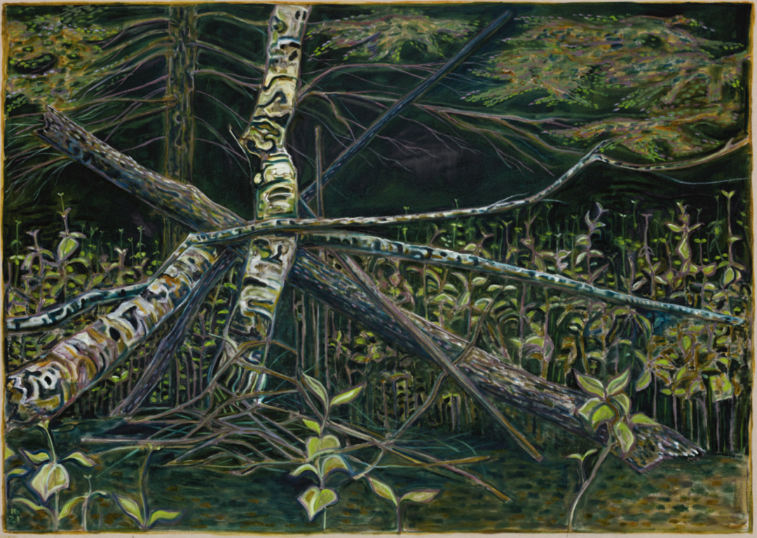 65岁老顽童艺术家的中国首展：我画画只是为了自己 图片 18