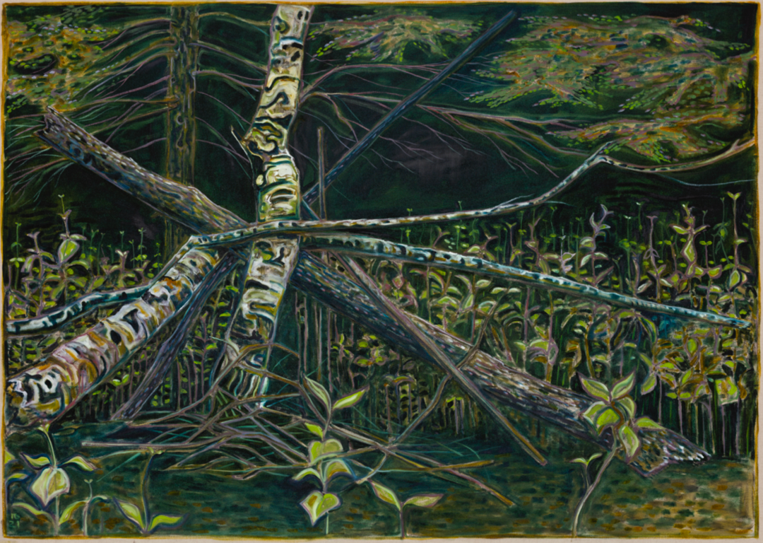 65岁老顽童艺术家的中国首展:我画画只是为了自己 图片 18
