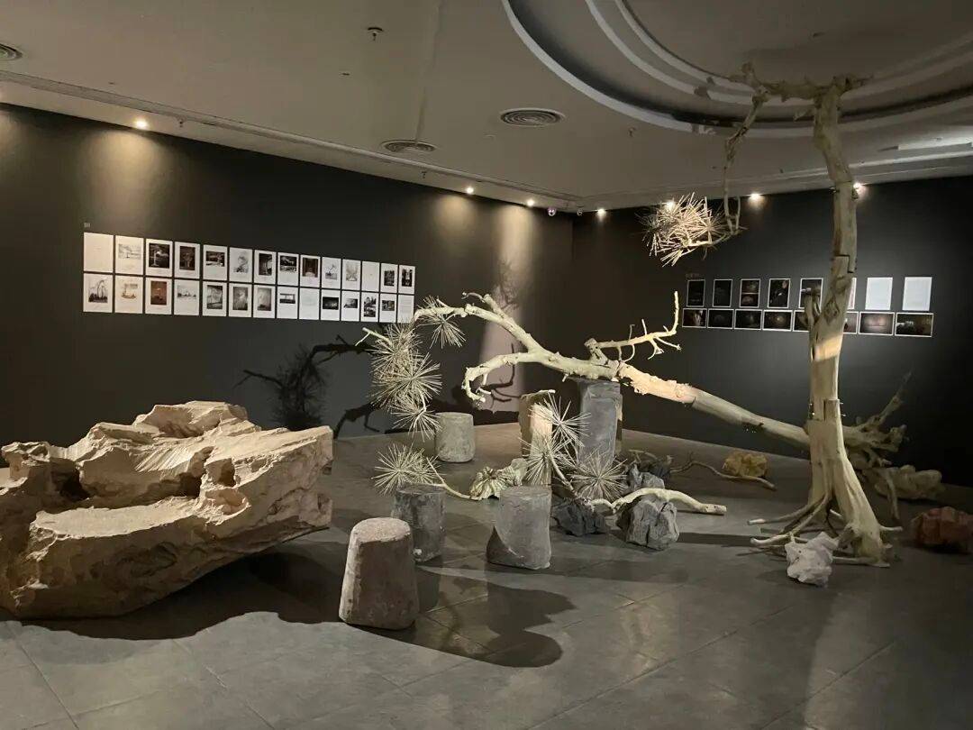 史金淞:一年5场个展,硬核与传统混搭 图片 33