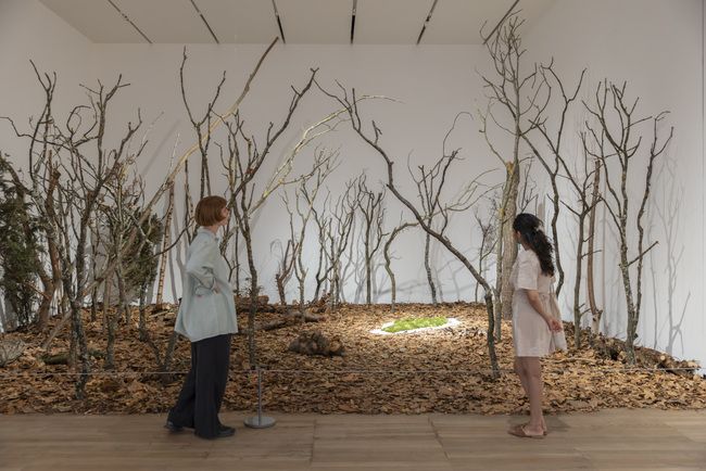 Ana Mendieta’s indoor forest installation at Tate Modern