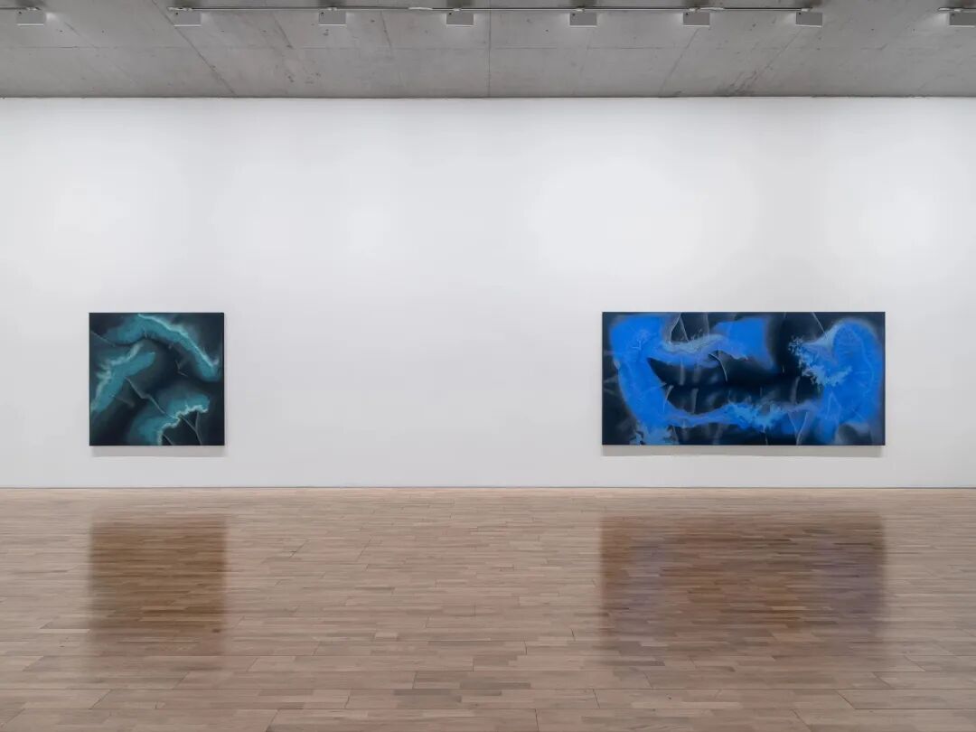 透纳奖提名的伊朗裔女艺术家，中国首次美术馆大展落地上海 图片 8
