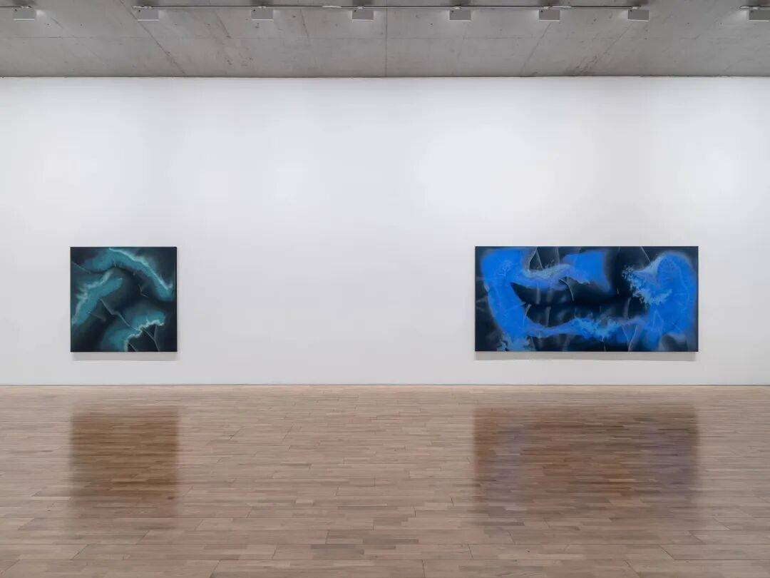 透纳奖提名的伊朗裔女艺术家,中国首次美术馆大展落地上海 图片 8