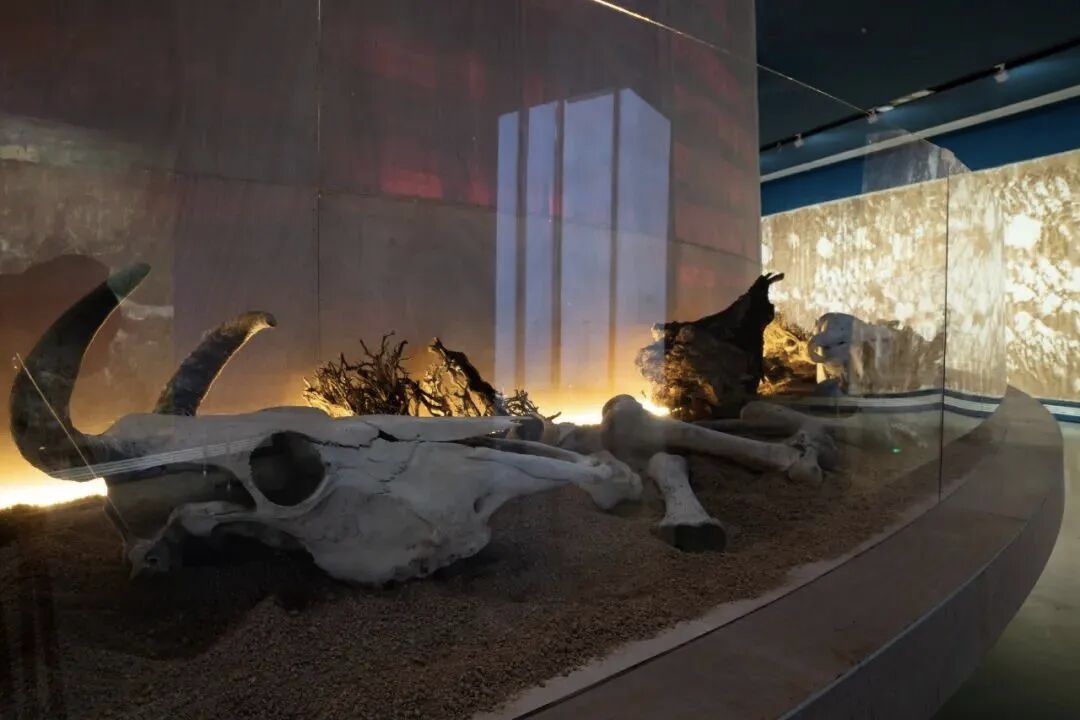 刘商英：以天地为工作室，在大自然里作画10年 图片 21
