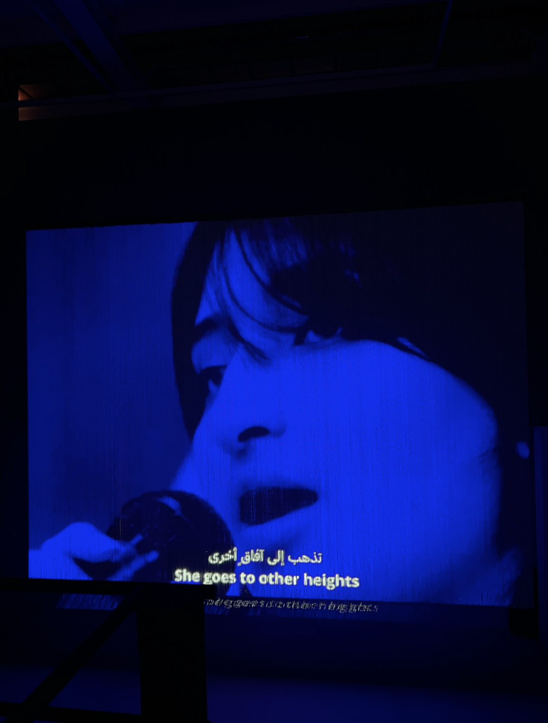 在全球最富的男权之地，6位女性主导了一场世界级艺术盛会 图片 16