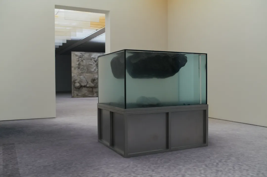 The soft robotic lung and miniature landscape in the Apnea aquarium