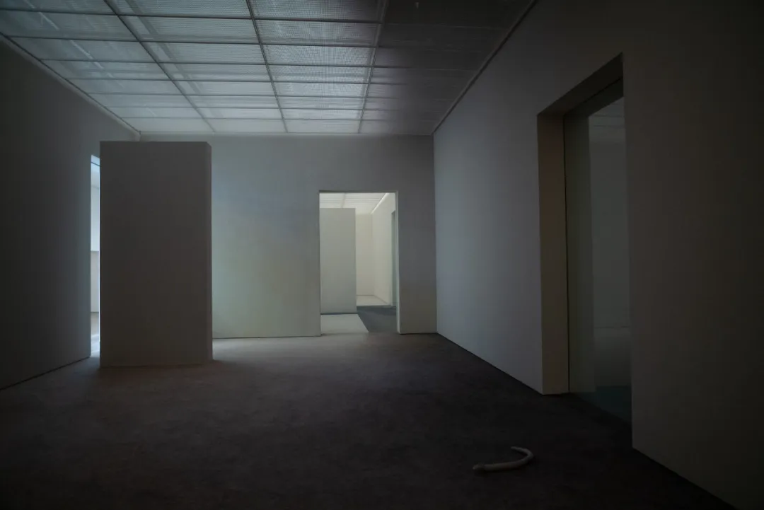 Connected galleries in Pierre Huyghe’s Fondation Beyeler exhibition