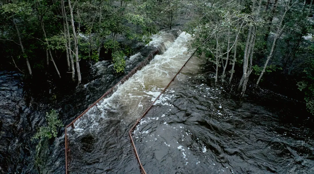 The forest environment and water in Variants in Norway