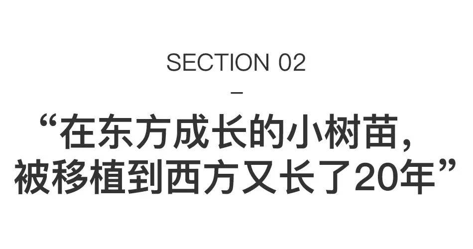 傅饶:打破东西方标签,只做真诚的艺术 图片 20