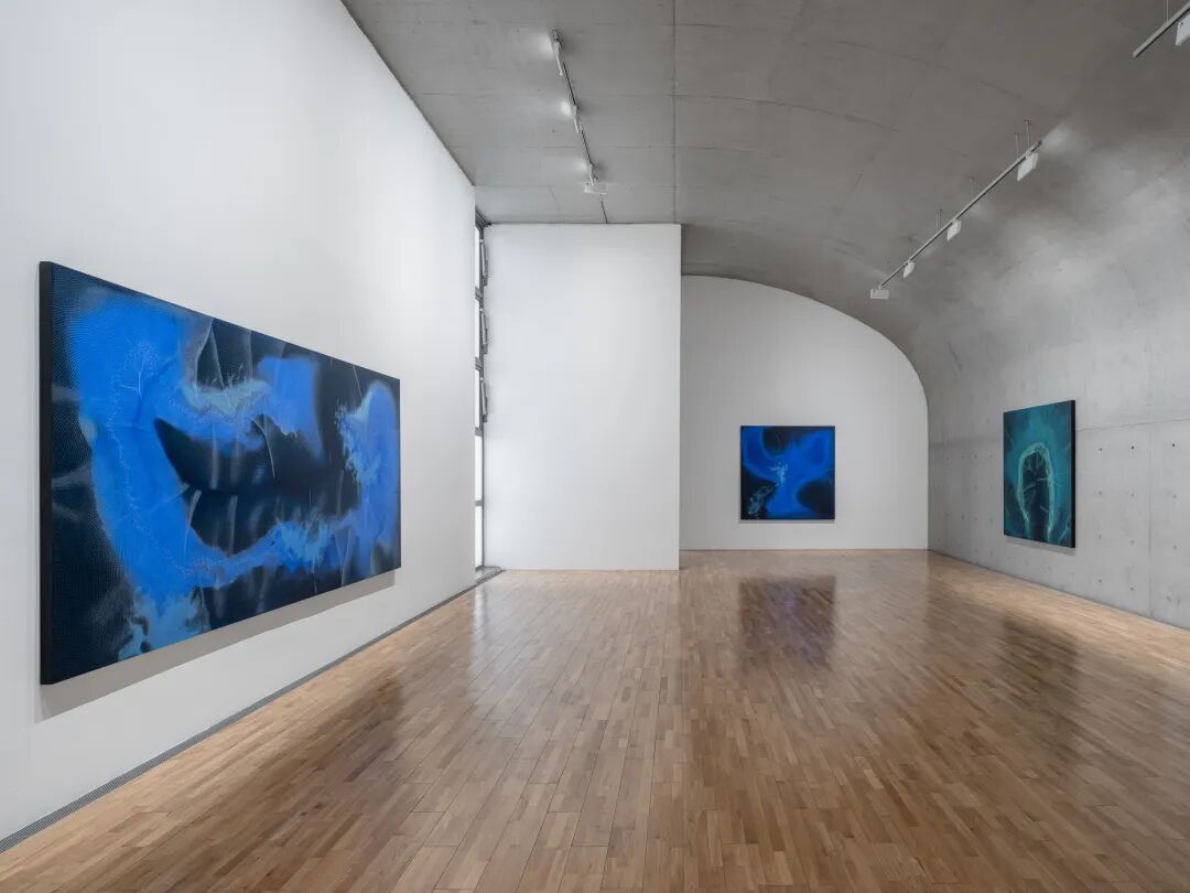 透纳奖提名的伊朗裔女艺术家，中国首次美术馆大展落地上海 图片 28
