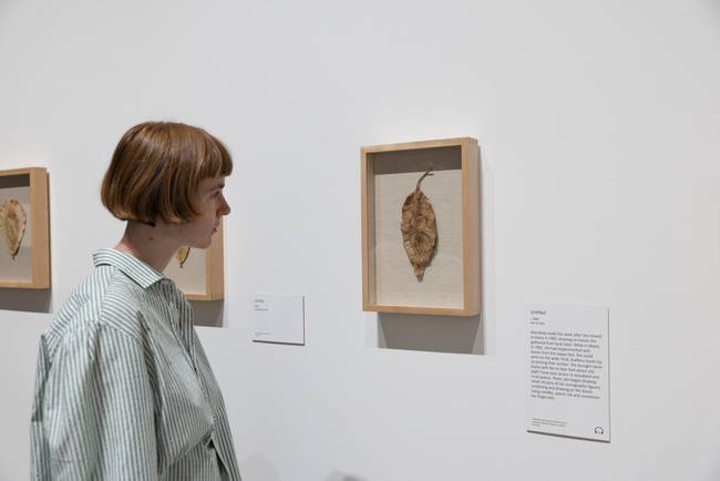 观众观看展墙上以树叶为材料的作品