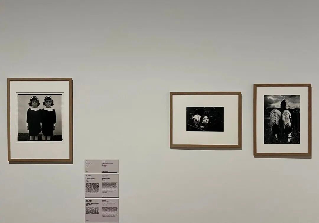 艺术周最令人惊喜的展览：超170位顶级大师，以光作画 图片 27