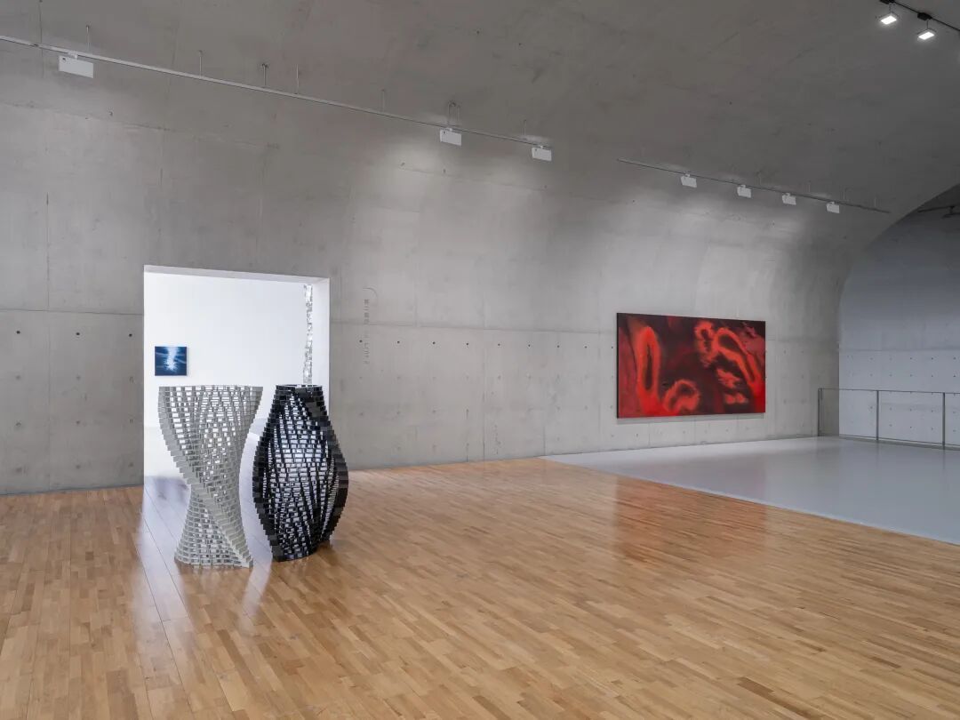 透纳奖提名的伊朗裔女艺术家，中国首次美术馆大展落地上海 图片 1