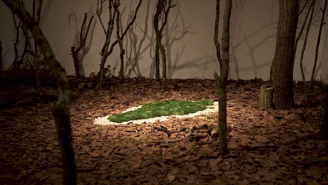 Moss and white stones form a human outline on the forest floor