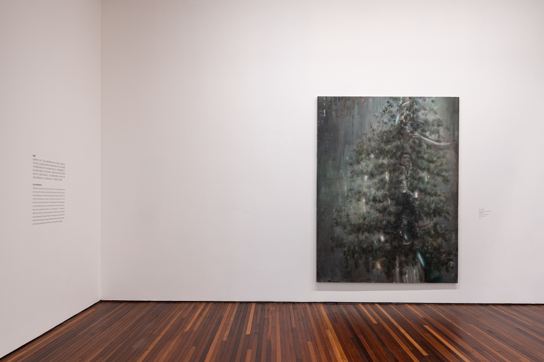 韦嘉迄今规模最大个展：最难的是面对空白的画布 图片 24