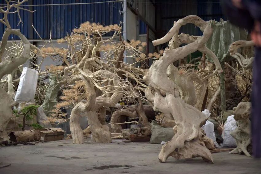史金淞：一年5场个展，硬核与传统混搭 图片 34