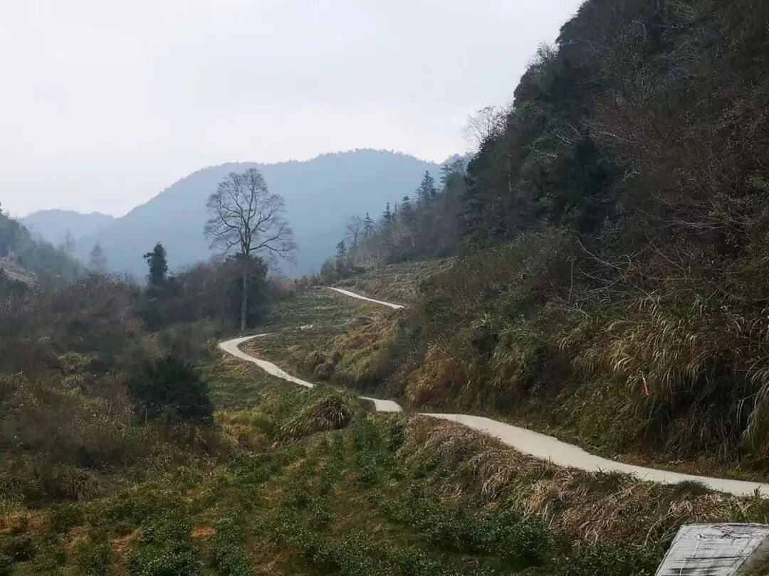 肖江：专注画山十年，10余幅新作亮相上海新展 图片 11