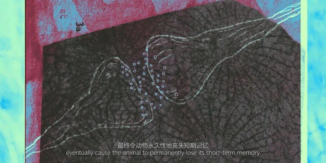 Sora爆火，全球最受瞩目的数字艺术家们怎么看？ 图片 44