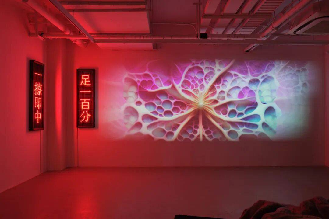 9位艺术从业者,眼中的上海艺术季 图片 67