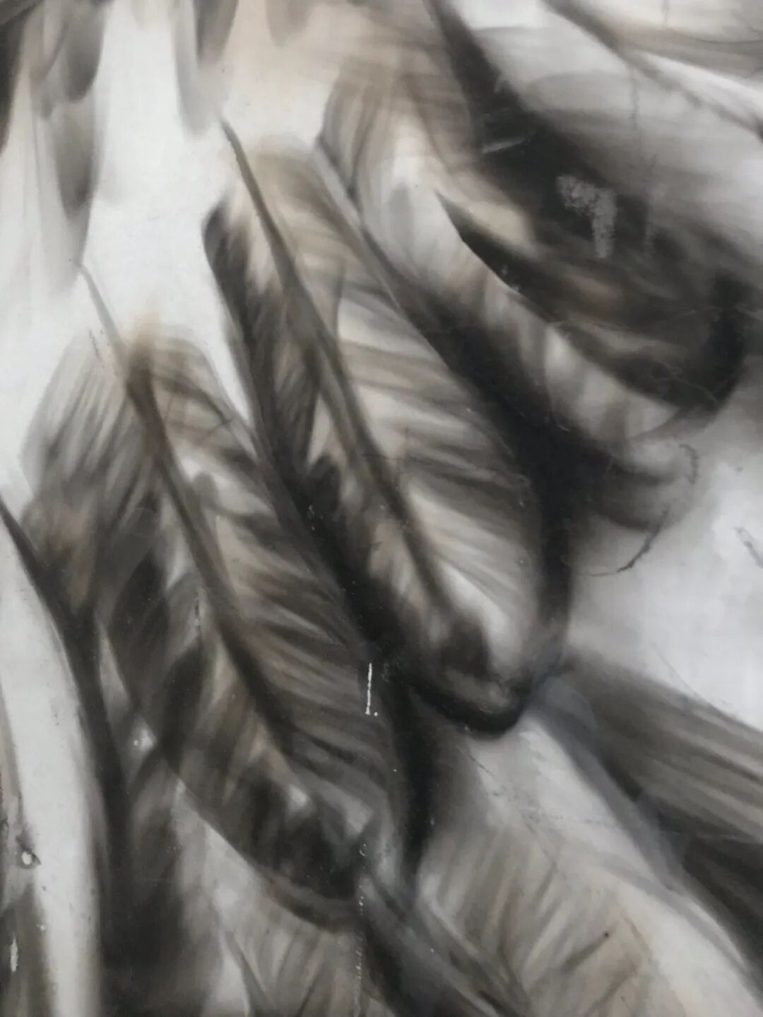 谢墨凛：用机器画画，寻找绘画的新出路 图片 24