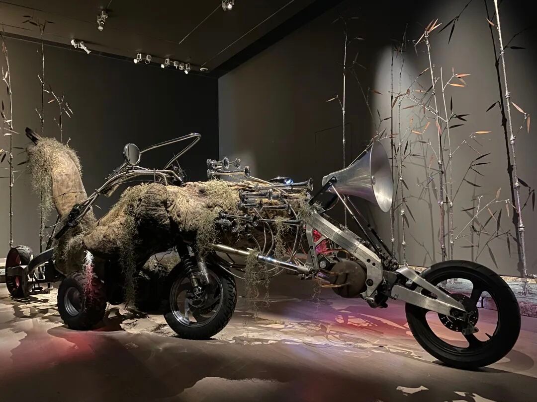 史金淞：一年5场个展，硬核与传统混搭 图片 11