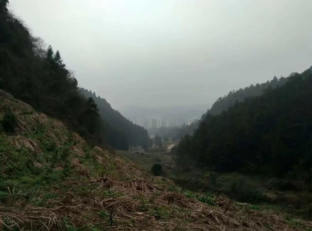 肖江：专注画山十年，10余幅新作亮相上海新展 图片 14