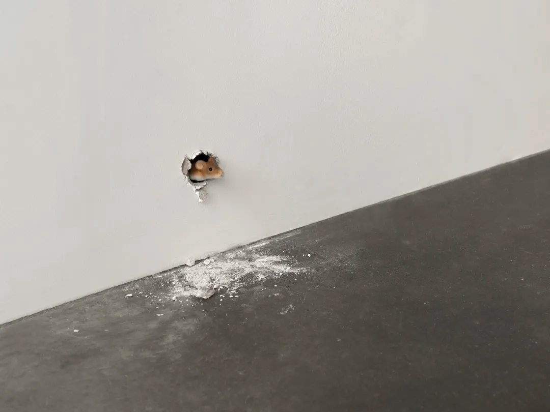 Installation views of New Humans: Memories of the Future, New Museum, 2026.