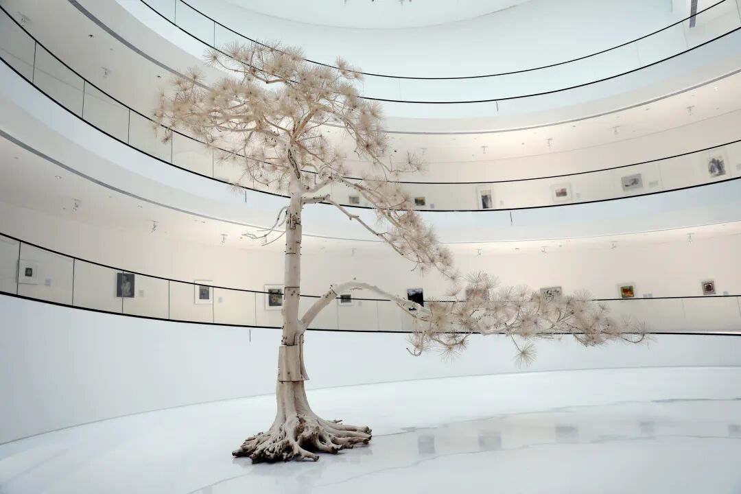 史金淞：一年5场个展，硬核与传统混搭 图片 30