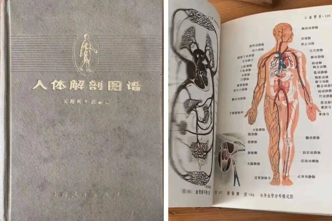 商亮:肌肉人变形记 图片 32