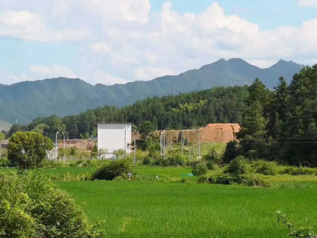 肖江：专注画山十年，10余幅新作亮相上海新展 图片 12