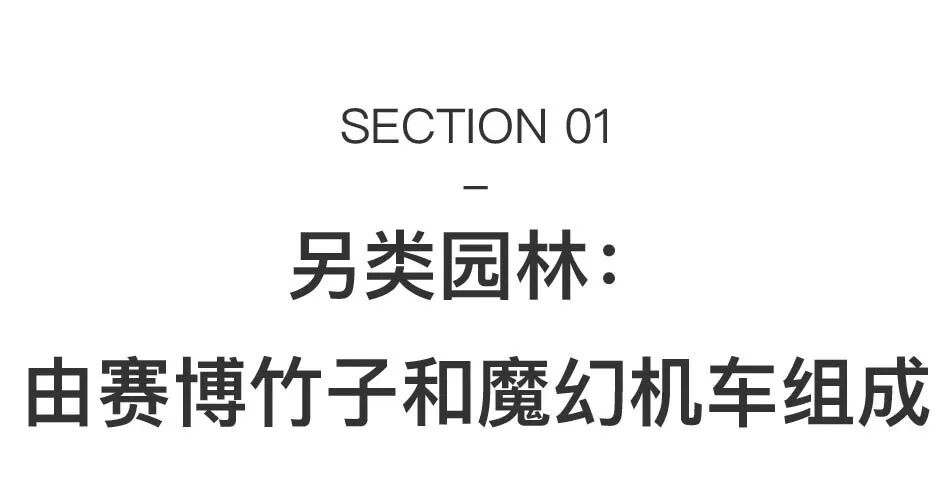 史金淞：一年5场个展，硬核与传统混搭 图片 3