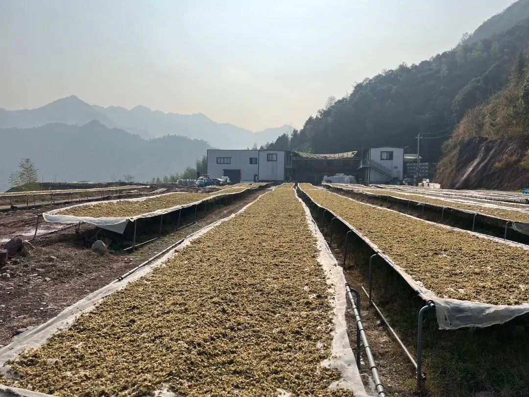今年最有烟火气的展览：从日常食物出发，充满张力 图片 31