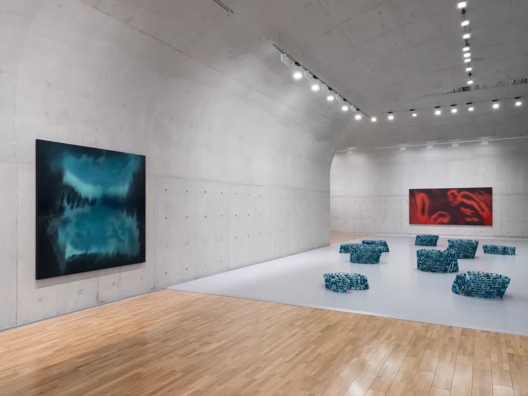透纳奖提名的伊朗裔女艺术家，中国首次美术馆大展落地上海 图片 7