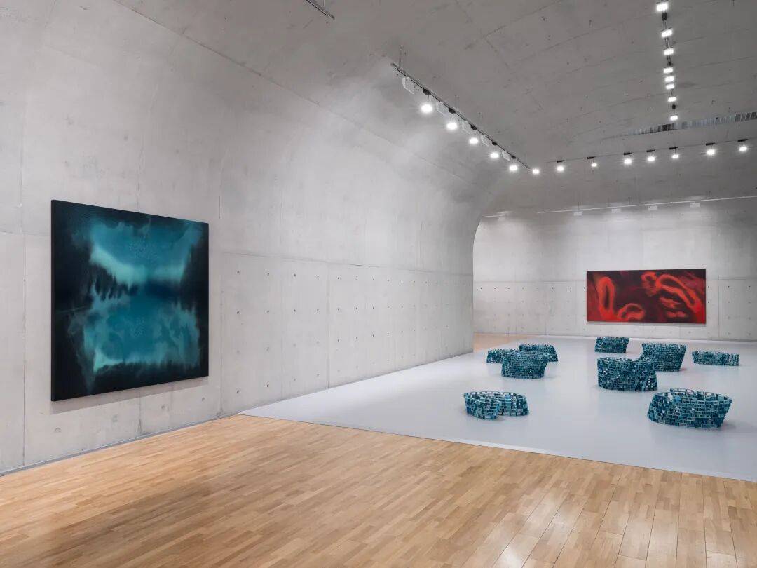 透纳奖提名的伊朗裔女艺术家,中国首次美术馆大展落地上海 图片 7