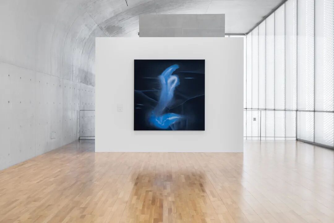 透纳奖提名的伊朗裔女艺术家，中国首次美术馆大展落地上海 图片 27