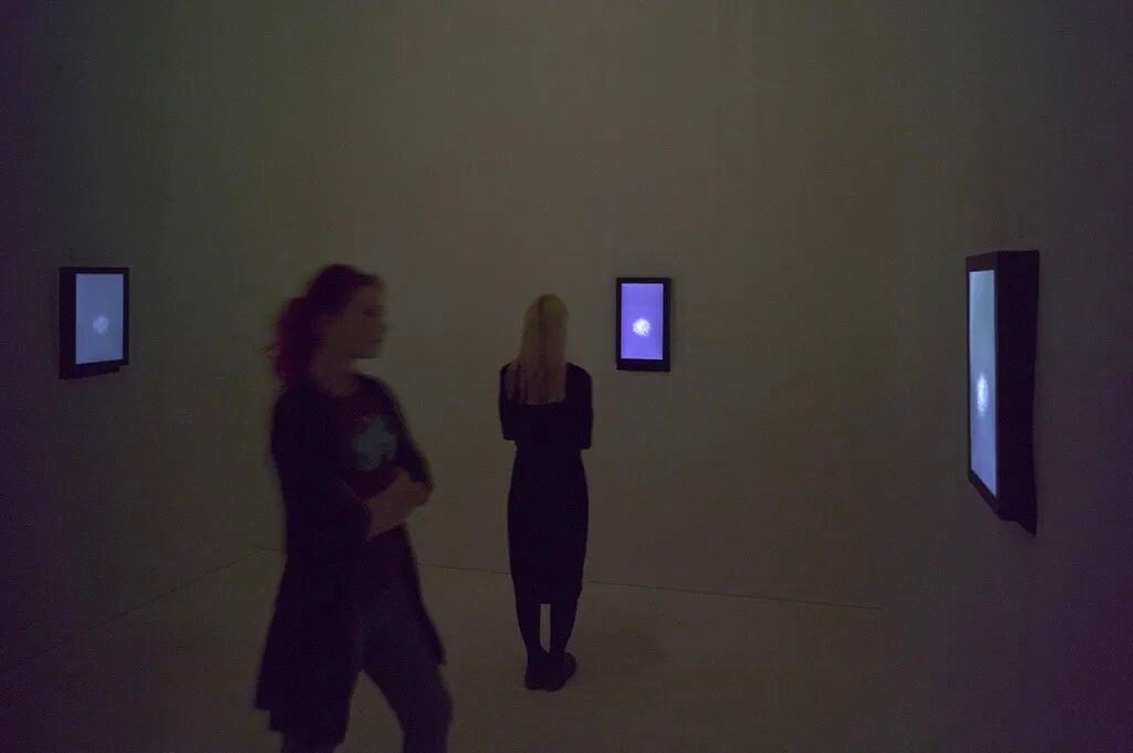透纳奖提名的伊朗裔女艺术家，中国首次美术馆大展落地上海 图片 12