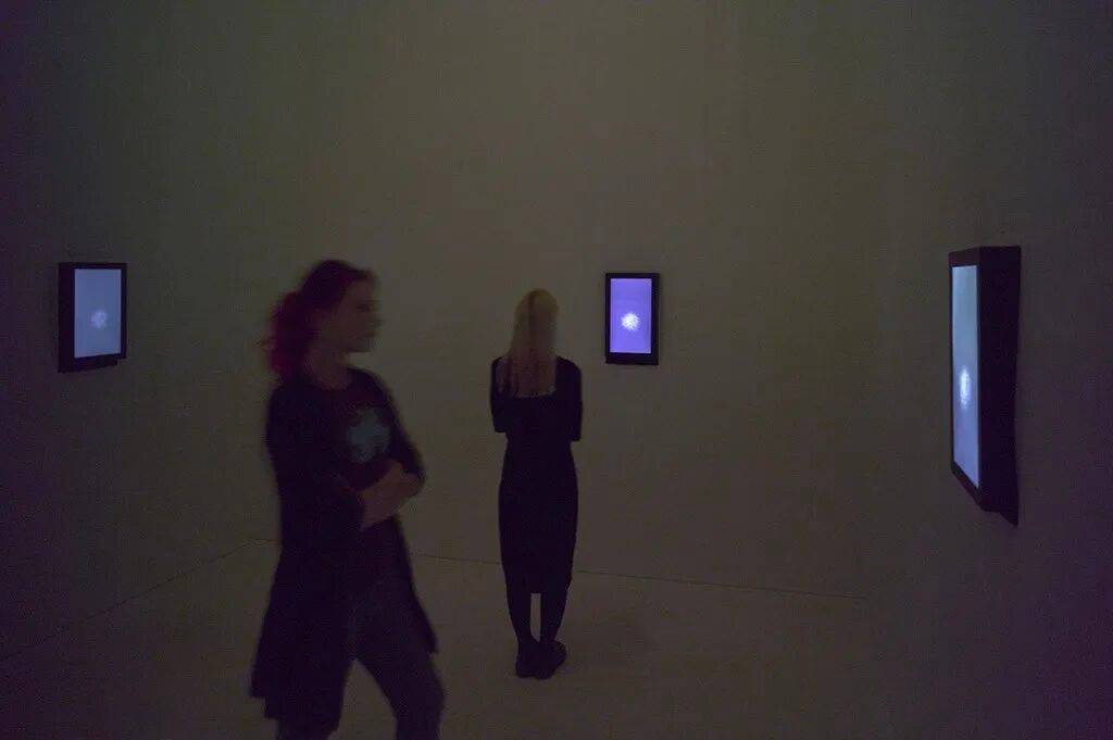 透纳奖提名的伊朗裔女艺术家,中国首次美术馆大展落地上海 图片 12