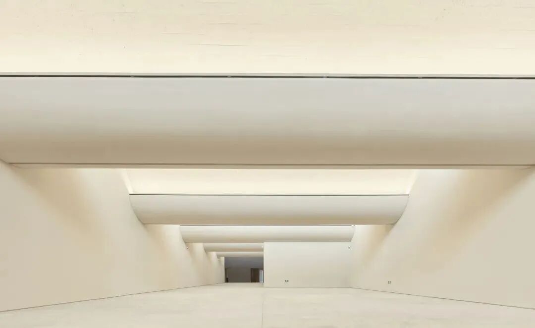 頌艺术中心开馆大展：回望中国当代艺术20年 图片 22