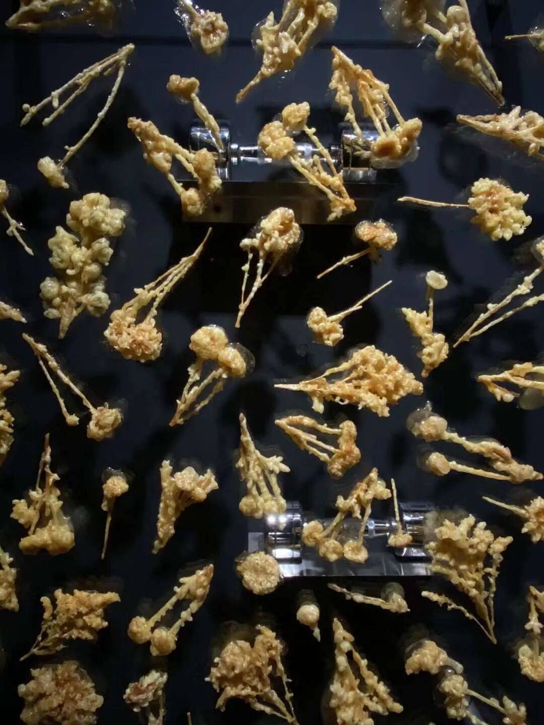 亚洲艺术下半年的第一场狂欢:3年来热度最高 图片 43