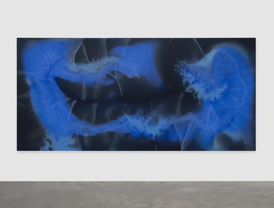 透纳奖提名的伊朗裔女艺术家，中国首次美术馆大展落地上海 图片 24
