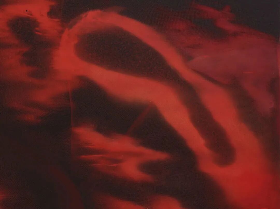 透纳奖提名的伊朗裔女艺术家，中国首次美术馆大展落地上海 图片 21