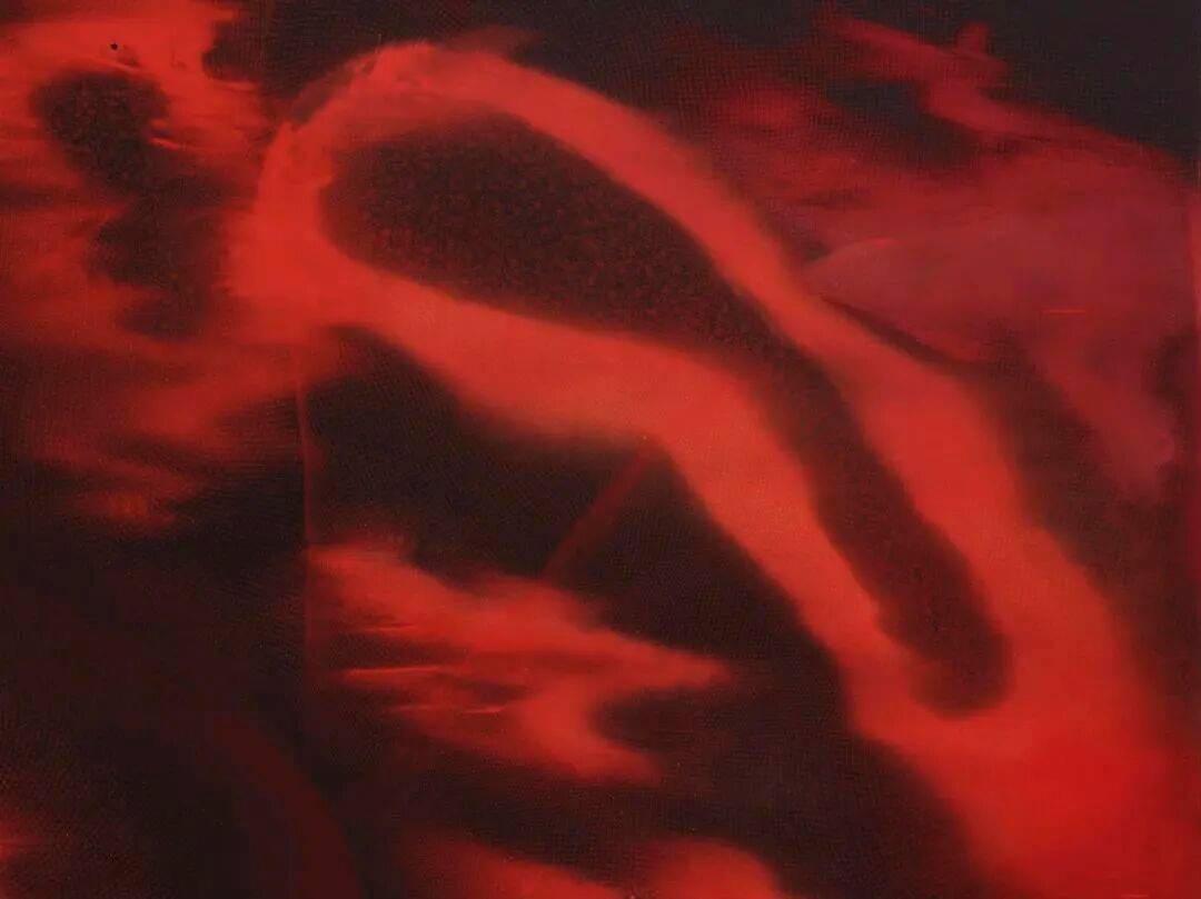 透纳奖提名的伊朗裔女艺术家,中国首次美术馆大展落地上海 图片 21