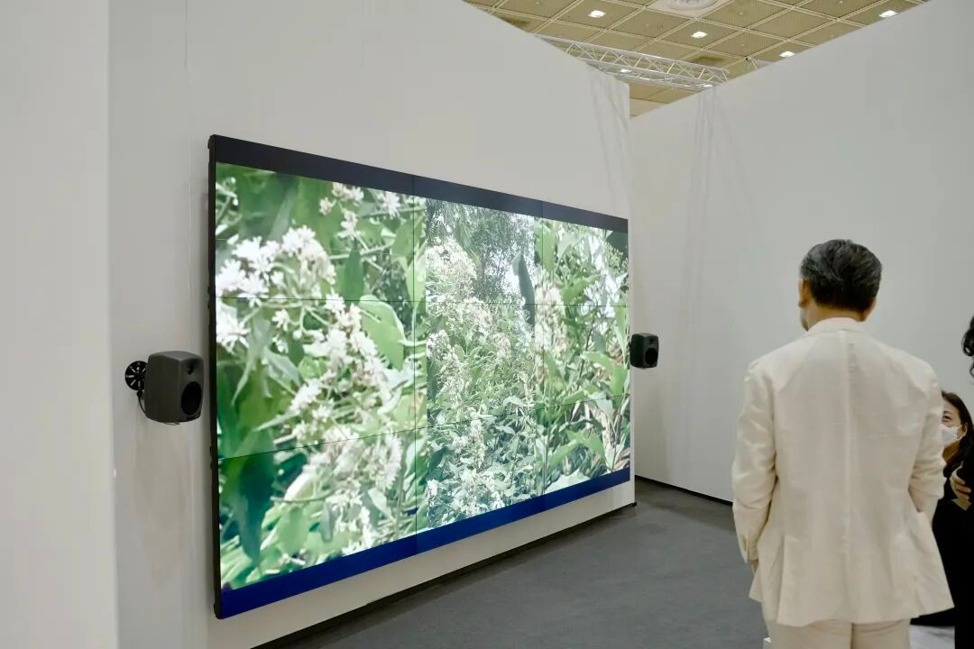 亚洲艺术下半年的第一场狂欢：3年来热度最高 图片 14