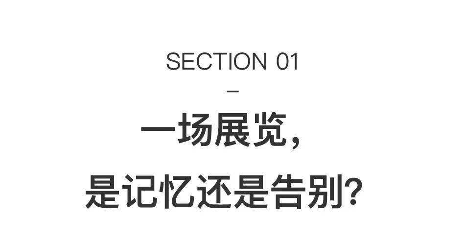 沈远:女性、艺术家、母亲、妻子 图片 4