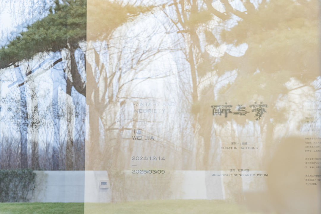 韦嘉迄今规模最大个展：最难的是面对空白的画布 图片 6