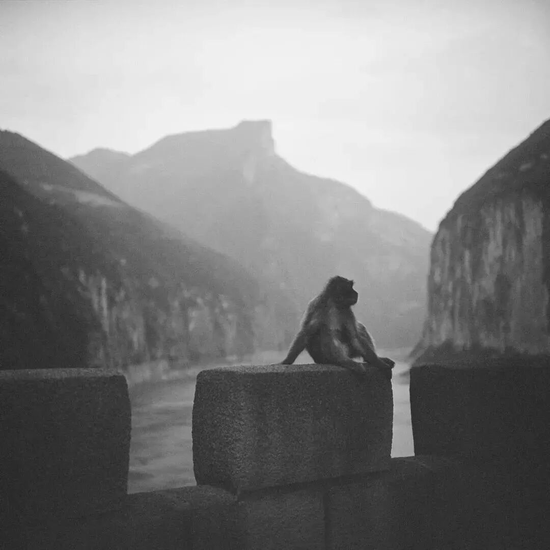 艺术家严明：行走15年，持续记录被遗忘的现实风景 图片 11