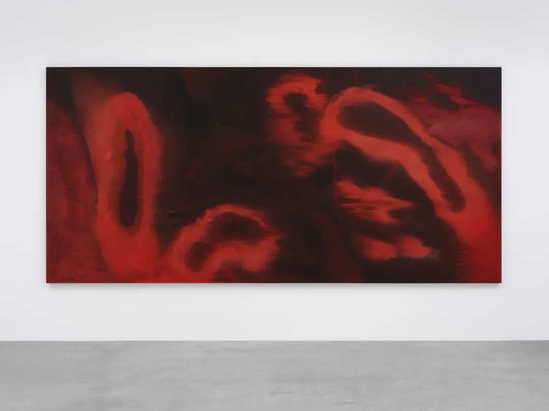 透纳奖提名的伊朗裔女艺术家，中国首次美术馆大展落地上海 图片 20