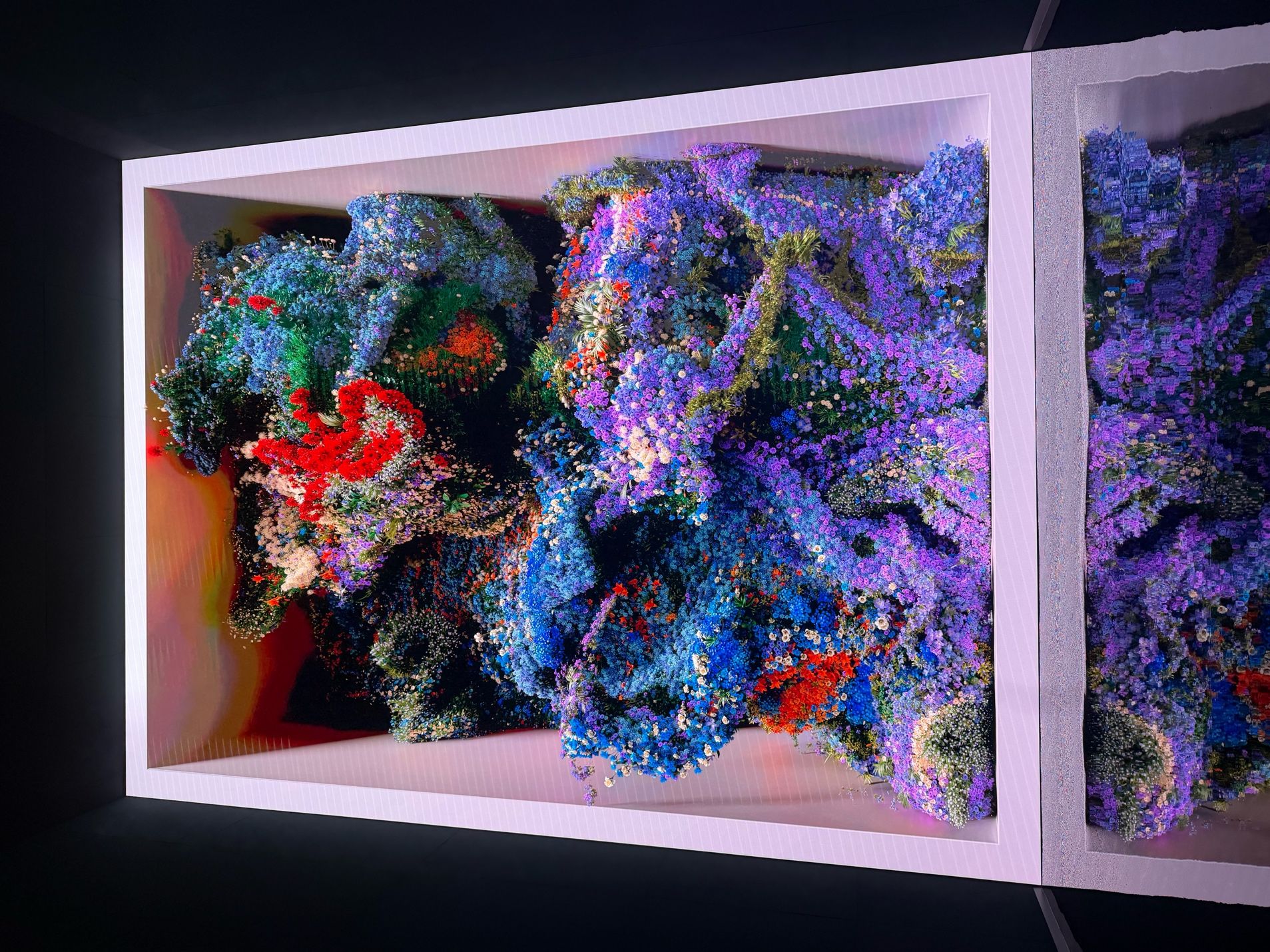 Generative floral imagery in Dataland’s The Sanctuary gallery