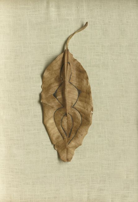 A body-like outline appears on the surface of a dried leaf