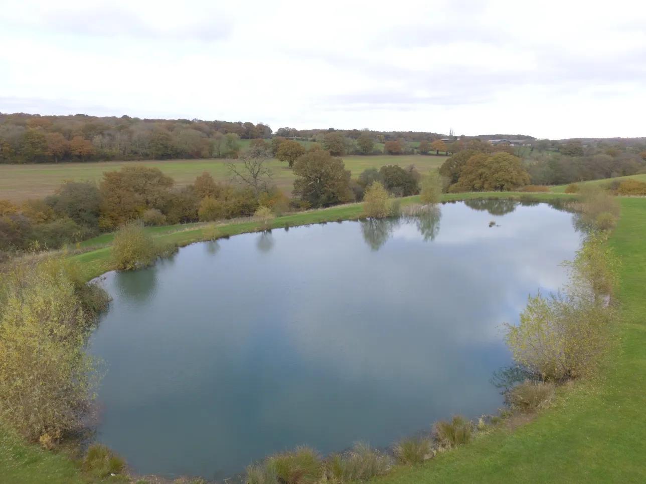 Harry's Pool